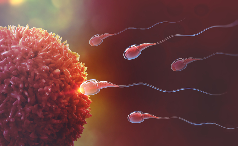 Fertility specialist consulting a couple about donor egg and donor sperm options for achieving pregnancy.