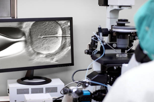 Microscopic view of ICSI procedure showing sperm injection into egg during advanced IVF treatment.