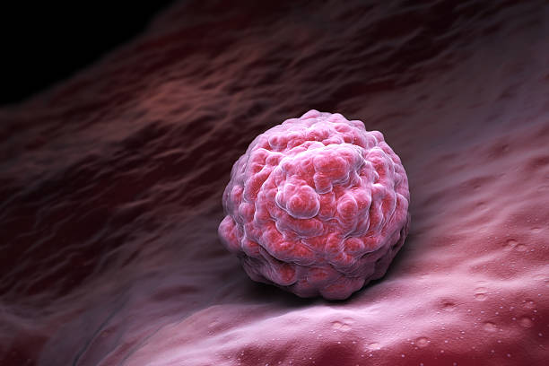 Blastocyst culture in IVF – advanced embryo growth to day 5 for higher pregnancy success at Karnic Clinic.